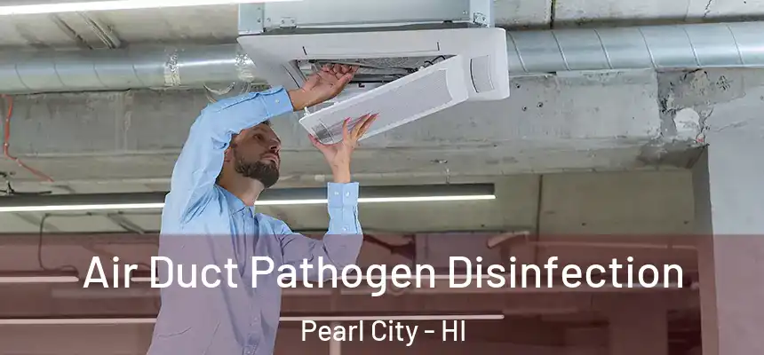  Air Duct Pathogen Disinfection Pearl City - HI