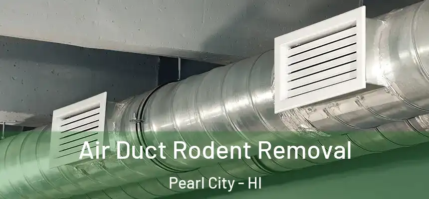  Air Duct Rodent Removal Pearl City - HI