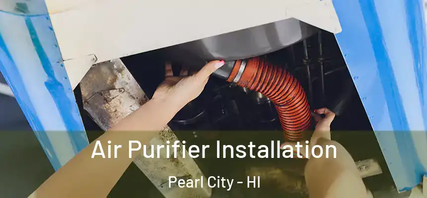  Air Purifier Installation Pearl City - HI