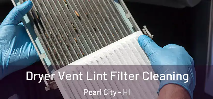  Dryer Vent Lint Filter Cleaning Pearl City - HI