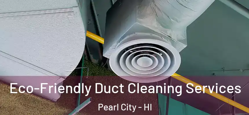  Eco-Friendly Duct Cleaning Services Pearl City - HI