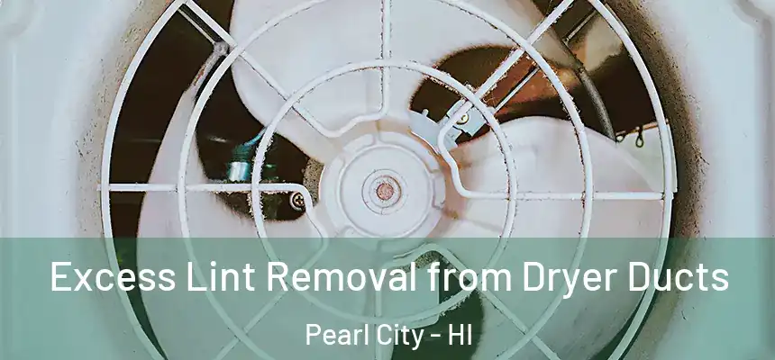  Excess Lint Removal from Dryer Ducts Pearl City - HI