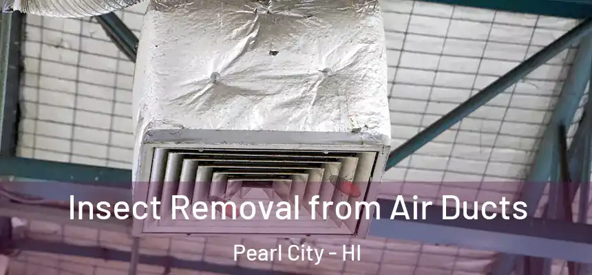  Insect Removal from Air Ducts Pearl City - HI