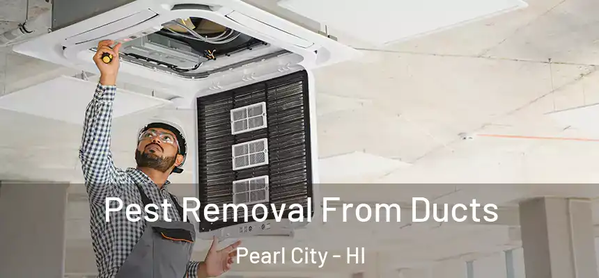  Pest Removal From Ducts Pearl City - HI
