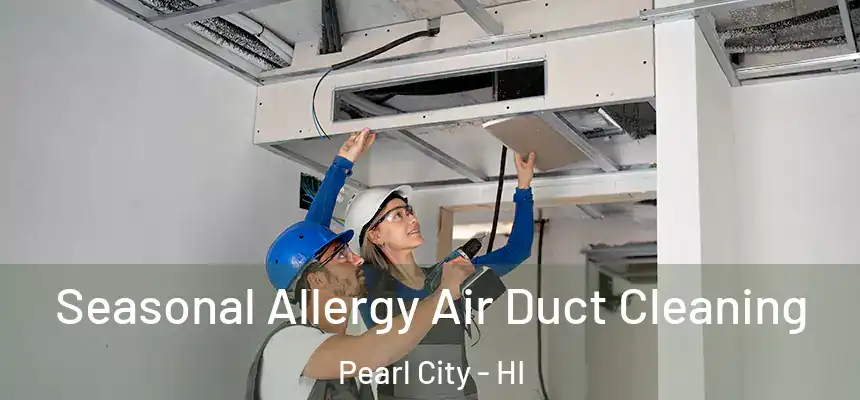  Seasonal Allergy Air Duct Cleaning Pearl City - HI