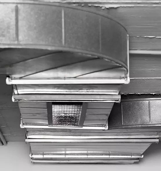 Professional Air Duct Pest Removal in Pearl City, HI