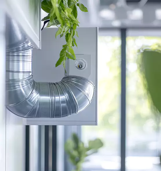 Professional Eco-Friendly Duct Cleaning Services in Pearl City, HI