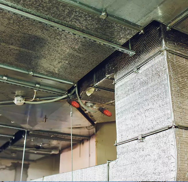 Why Homeowners & Businesses Trust Us in Pearl City, HI?