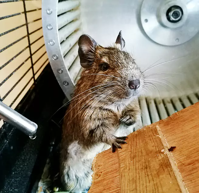 Why Homeowners & Businesses Trust Us Pearl City, HI?