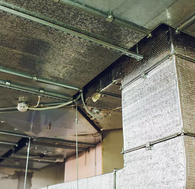 Why Homeowners & Businesses Trust Us in Pearl City, HI?