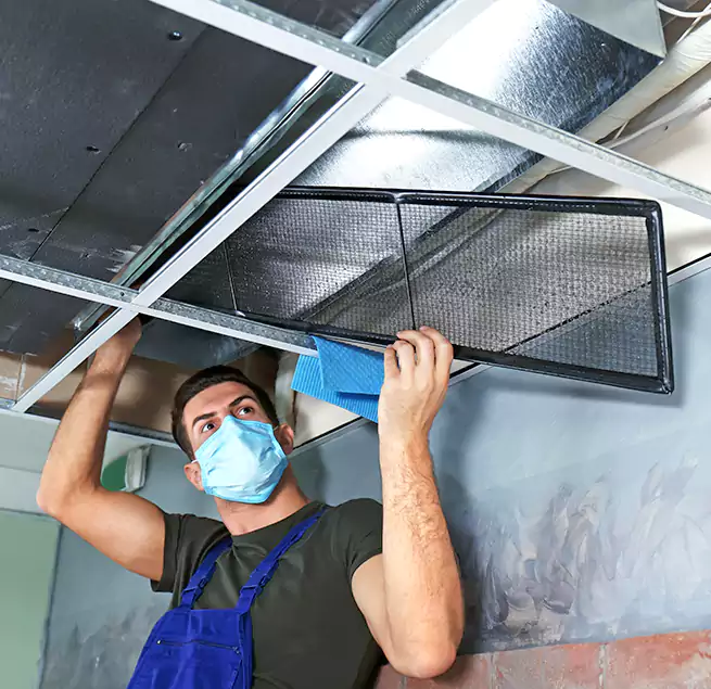 Why Homeowners Businesses Trust Us in Pearl City, HI