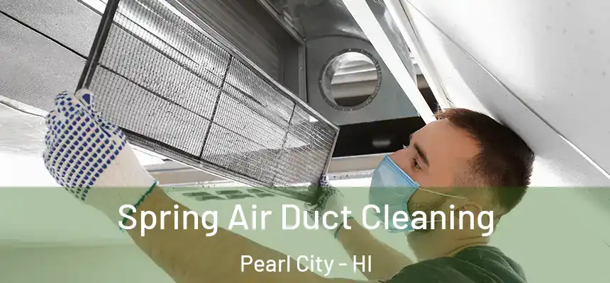  Spring Air Duct Cleaning Pearl City - HI